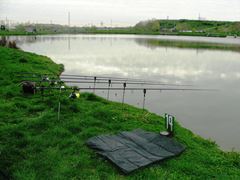 Floarea Popestiului 20 - 20 apr.